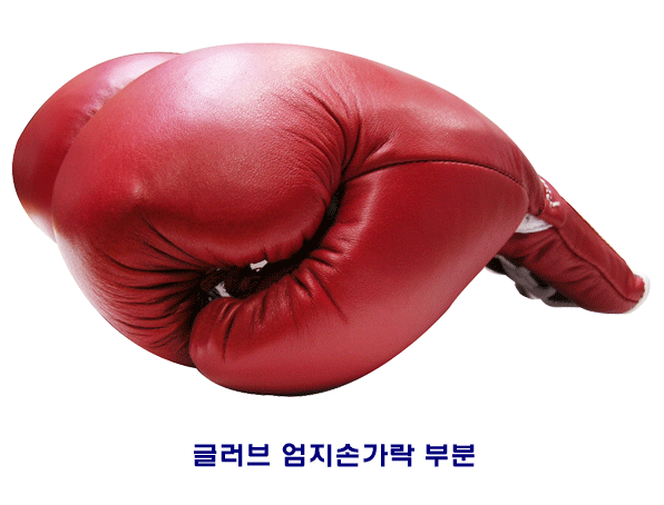유양스포츠 [복싱 글러브 (밸크로)]